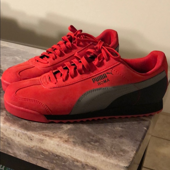 Puma Other - Puma Roma